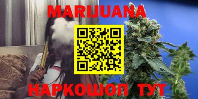 шишки Балашиха