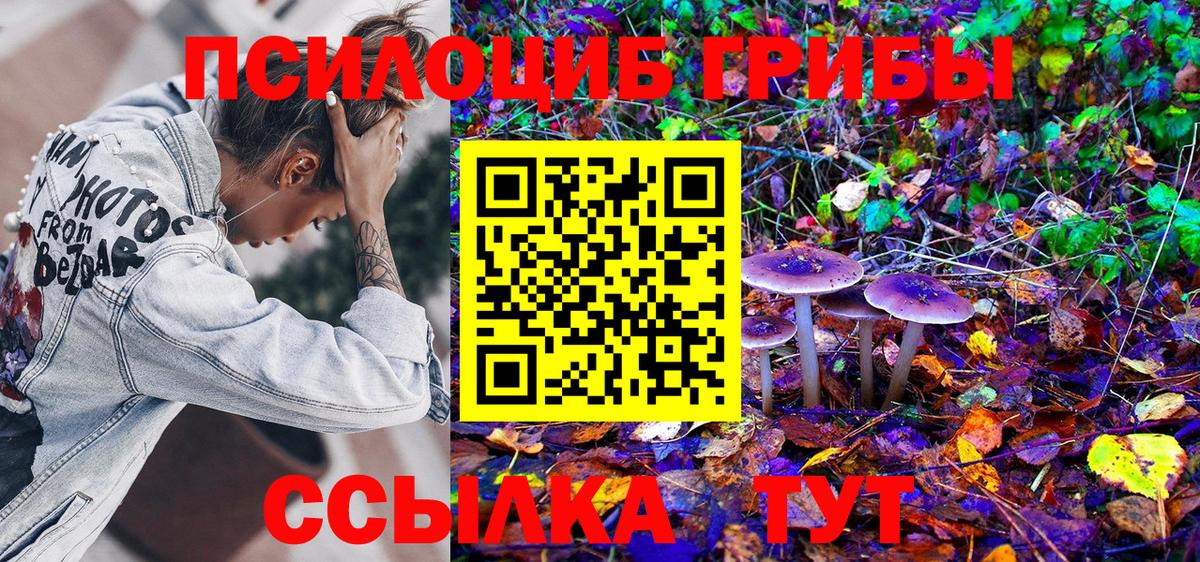 Гусиноозёрск  Псилоцибиновые грибы GOLDEN TEACHER  Вход с VPN 